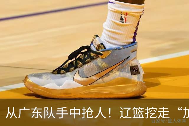 从广东队手中抢人！辽篮挖走“加强版杜润旺”，杜锋痛失锋线新星